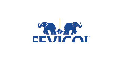 Fevicol
